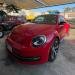 BEETLE 2013 (7)