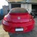 BEETLE 2013 (5)